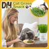 Cithway™ Easy-Grow Cat Grass Snack